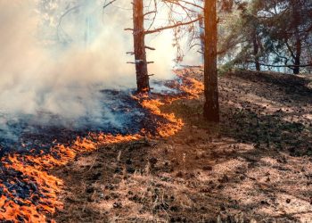 Muere un militar de la UME al caer una autobomba por un barranco durante la extinción del incendio de Riglos