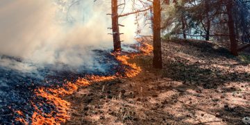 Muere un militar de la UME al caer una autobomba por un barranco durante la extinción del incendio de Riglos