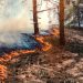 Muere un militar de la UME al caer una autobomba por un barranco durante la extinción del incendio de Riglos