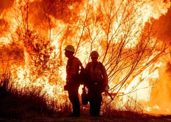 La Guardia Civil constata que la acción humana está detrás del 67% de los incendios forestales en España