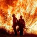 La Guardia Civil constata que la acción humana está detrás del 67% de los incendios forestales en España