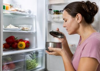 Cómo eliminar los malos olores del frigorífico: guía práctica y sencilla