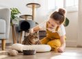 Cuidados básicos para que tu gato esté sano y feliz: guía práctica
