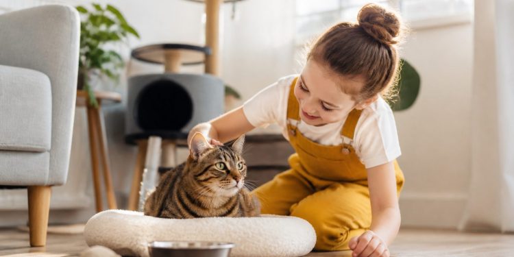 Cuidados básicos para que tu gato esté sano y feliz: guía práctica