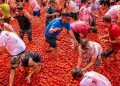 Horario y dónde ver en directo por televisión la Tomatina de Buñol 2026 mañana 26 de agosto