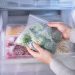 Guía básica para congelar alimentos sin perder sabor ni textura