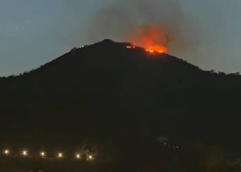 Extinguido el incendio en el Monte de la Tortuga, 10.000 m² afectados
