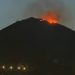 Extinguido el incendio en el Monte de la Tortuga, 10.000 m² afectados