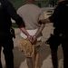 Detenciones por armas y allanamientos en Ceuta