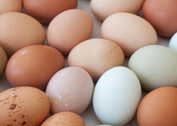 El precio de los huevos en los supermercados hoy, 14 de septiembre: cuánto cuestan en Mercadona, Carrefour, Alcampo o DIA