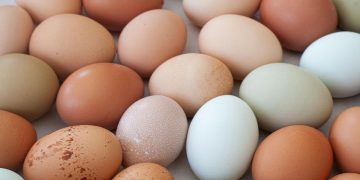 El precio de los huevos en los supermercados hoy, 14 de septiembre: cuánto cuestan en Mercadona, Carrefour, Alcampo o DIA
