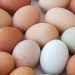 El precio de los huevos en los supermercados hoy, 14 de septiembre: cuánto cuestan en Mercadona, Carrefour, Alcampo o DIA