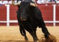 Morante de la Puebla, Manzanares, Castella y Roca Rey centran la atención del calendario taurino este lunes 14 de septiembre