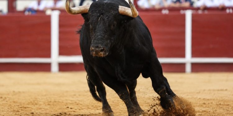 Morante de la Puebla, Manzanares, Castella y Roca Rey centran la atención del calendario taurino este lunes 14 de septiembre