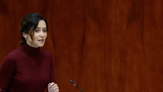 El Gobierno de Ayuso pide a la Junta Electoral restringir el voto exterior solo a descendientes con última residencia en Madrid