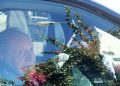 El Rey Juan Carlos I regresa a España para competir en las regatas de Galicia y reencontrarse con su familia