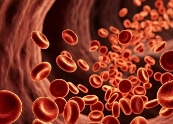España afronta casi 28.700 nuevos casos de cáncer hematológico en 2027: linfomas, leucemias y mieloma concentran la mayoría de diagnósticos