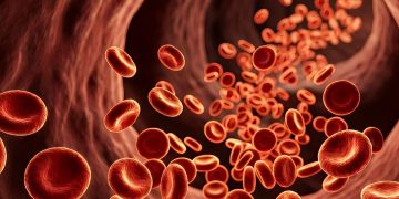 España afronta casi 28.700 nuevos casos de cáncer hematológico en 2027: linfomas, leucemias y mieloma concentran la mayoría de diagnósticos