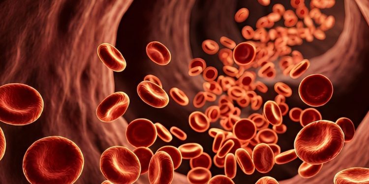 España afronta casi 28.700 nuevos casos de cáncer hematológico en 2027: linfomas, leucemias y mieloma concentran la mayoría de diagnósticos