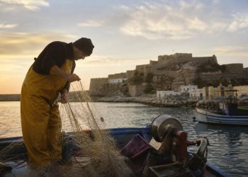 La pesca en Ceuta: tradición y especies de sus aguas