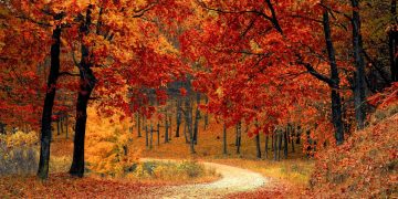 Cuándo empieza el otoño 2026 en España: fecha y hora oficial del equinoccio según el Instituto Geográfico Nacional