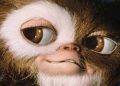‘Gremlins 3’ es una realidad: Warner confirma el regreso de Gizmo y fija su fecha de estreno en cines