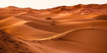 Marruecos impulsa la agricultura en Dajla con agua desalinizada del Atlántico