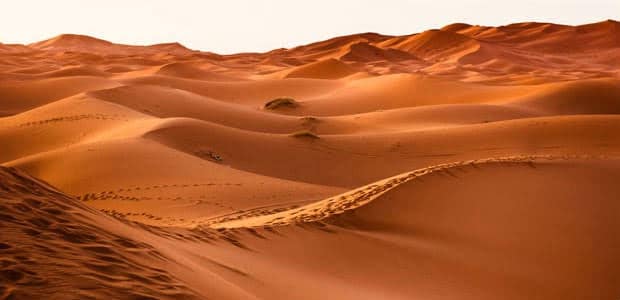 Marruecos impulsa la agricultura en Dajla con agua desalinizada del Atlántico
