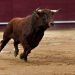 Morante de la Puebla cierra la Feria de San Miguel en Sevilla