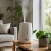 Cómo usar un humidificador de forma segura y mejorar el aire interior en Ceuta
