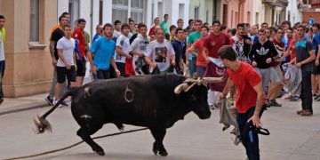 Muere una joven de 25 años herida por un toro con soga en Lodosa
