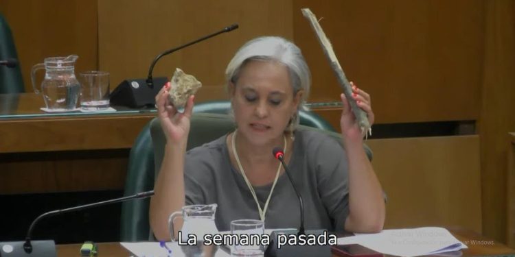 Concejal tránsfuga de Vox provoca polémica en el pleno de Zaragoza con un palo y una piedra