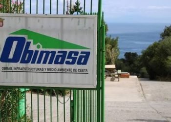 OBIMASA anula convocatoria de plazas de experto forestal