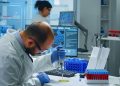 España se declara en «alerta» por el virus Shamonda tras registrarse en Francia la primera muerte humana  