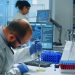 España se declara en «alerta» por el virus Shamonda tras registrarse en Francia la primera muerte humana