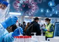 Sanidad despliega un rastreo masivo ante los casos del virus Shamonda: la infección ganadera ya afecta a seis provincias y causa una muerte en Francia